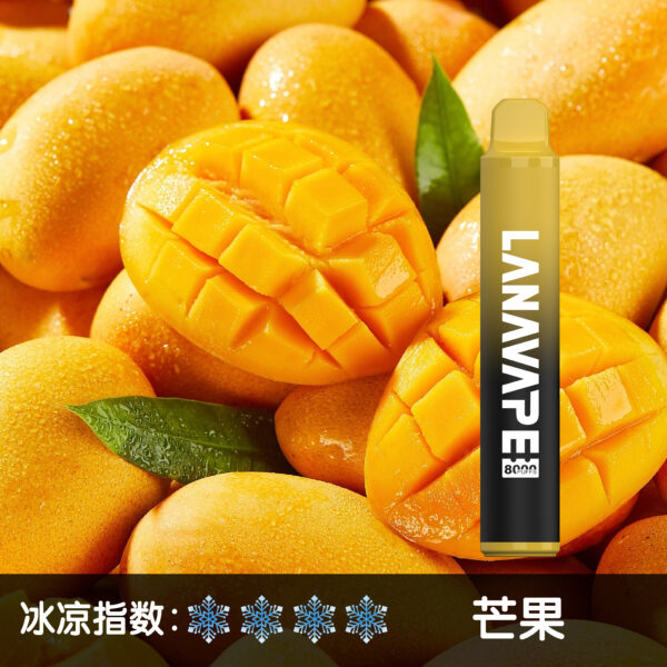 LANA拋棄式8000口 一次性電子煙：圖片 3