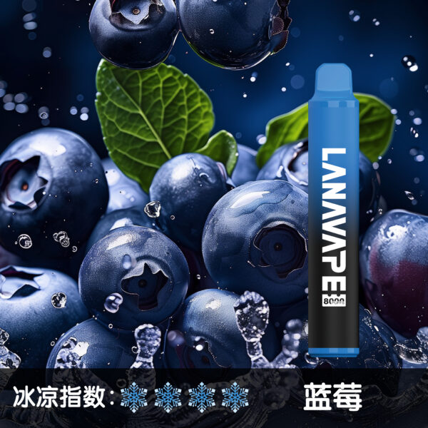 LANA拋棄式8000口 一次性電子煙：圖片 8